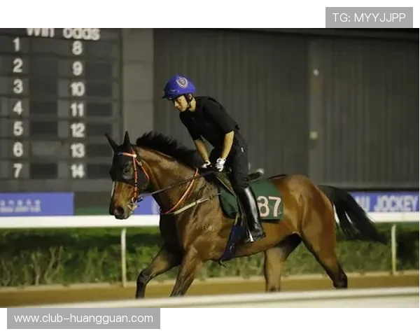 澳门赛马会如何借助科技提升赛事体验与运营效率